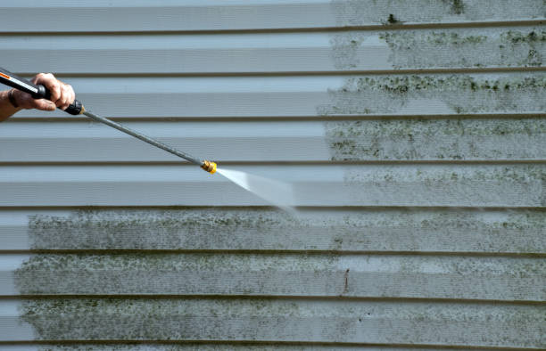 Best Solar Panel Cleaning  in Conway, SC